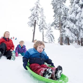 Grouse Mountain Admission Ticket