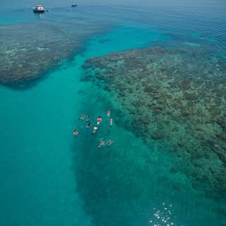 Ocean Freedom Great Barrier Reef Tour