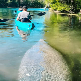 Silver Springs Glass Bottom Kayak Tour!