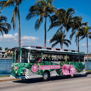 Flamingo Bus Miami Tour