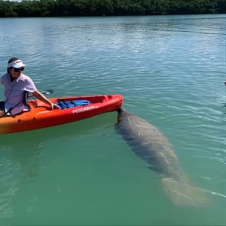 Siesta Key Guided Eco Tour