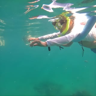 Blue Heron Bridge Guided Snorkel Tour 