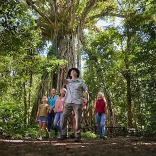 Nocturnal Rainforest & Wildlife Tour from Cairns