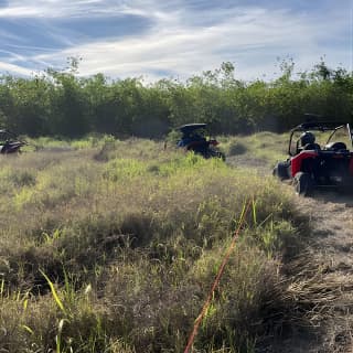 Fort Meade : Orlando : Dune Buggy Adventures