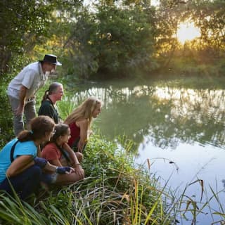 Nocturnal Rainforest & Wildlife Tour from Cairns