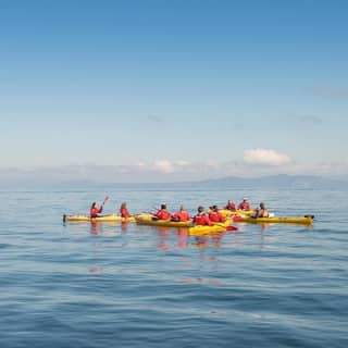 The Maori Carvings Half Day Kayak