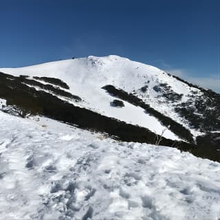 Mount Buller Snow Day Boutique Trip - Max 11 People