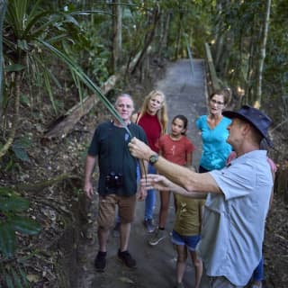 Nocturnal Rainforest & Wildlife Tour from Cairns