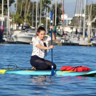 Paddleboarding or Kayaking with Sea Lions in the Marina