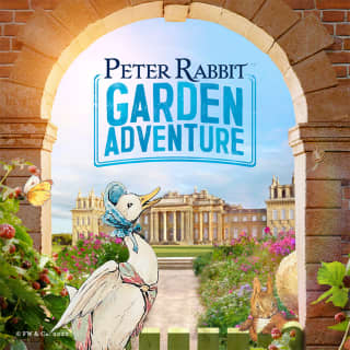 The Peter Rabbit™ Garden Adventure - Waitlist