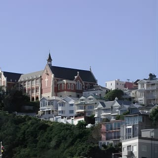 Wellington Shore Excursion City Sightseeing Tour