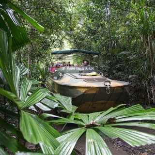 Rainforestation Nature Park & Australian Butterfly Sanctuary