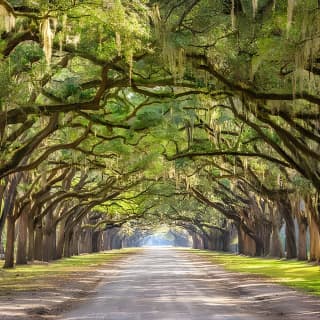 The History Buff Downtown Savannah Walking Tour