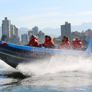 City and Seal Cruise from Vancouver