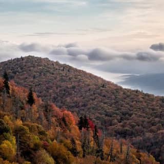 Half-Day Tour With Instruction in Vistas & Waterfall Photography