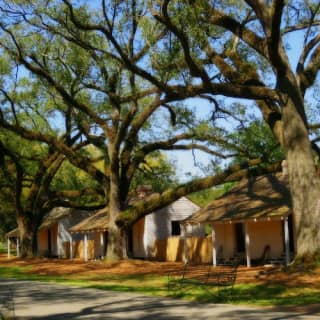 Oak Alley Plantation: Tour from New Orleans