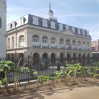 Creole Louisiana: A French Quarter Walking Tour (English)