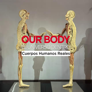 ﻿Our Body: The Universe Within