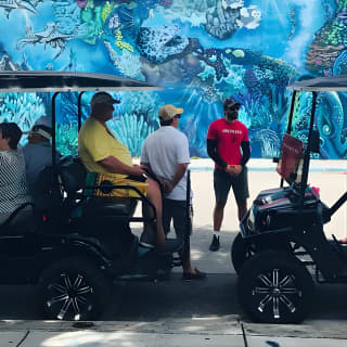 Wynwood Graffiti Golf Cart Small-Group Tour