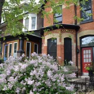 Kensington Market, Chinatown and the Art Gallery of Ontario: A Self-Guided Tour