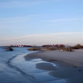 Nature Boat Tour with Certified Naturalist in Charleston