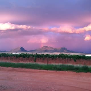 Fine Wineing - A Wine Tasting Experience in the vineyards of the Desert!