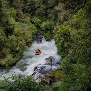 Rotorua Rafting - Kaituna River White Water Rafting 