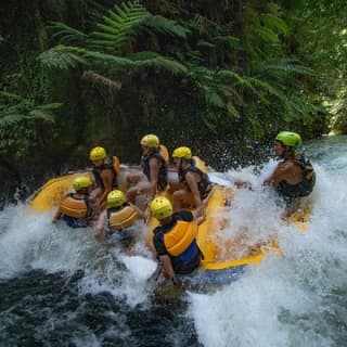 Rotorua Rafting - Kaituna River White Water Rafting 