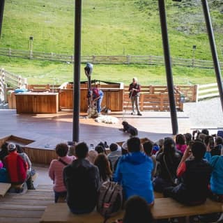 Dinner at Walter Peak High Country Farm and Cruise from Queenstown