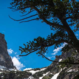 Hiking Adventure in Rocky Mountain National Park from Denver