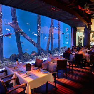 Cairns Aquarium by Twilight