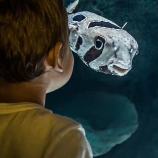 Cairns Aquarium by Twilight