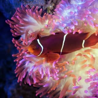 Cairns Aquarium by Twilight