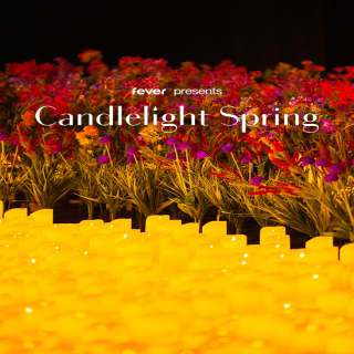 Candlelight Spring : le meilleur des Beatles