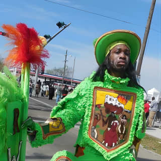 Nola Urban Culture City Tour