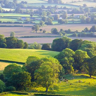 Mystery Picnic - The Cotswolds