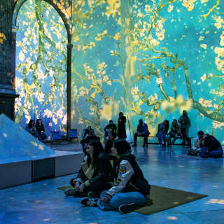 360 Degree Vr Van Gogh Tickets For Van Gogh: The Immersive