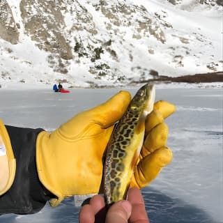 Glacier Hiking & Geothermal Cave Pools + Pictures Day Tour in Idaho Springs