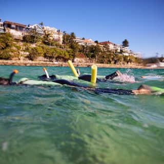 Manly Snorkel Trip and Nature Walk with Local Guide