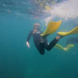 Guided Snorkel Experience, Advanced