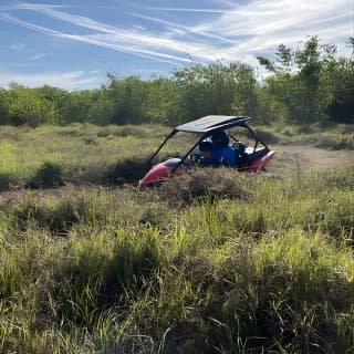 Fort Meade : Orlando : Dune Buggy Adventures