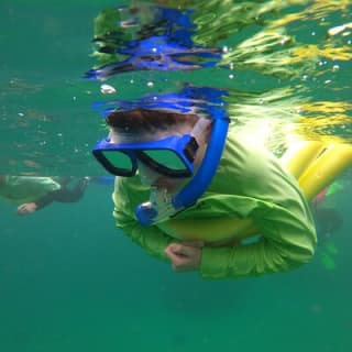 Manly Snorkel Trip and Nature Walk with Local Guide