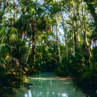 Rainbow Springs: Clear Kayak Eco Tour