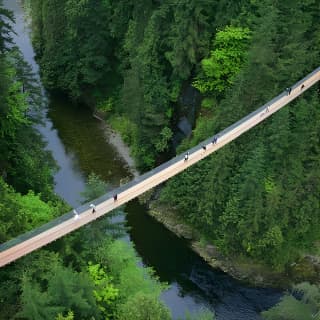 North Shore Day Trip from Vancouver: Capilano Suspension Bridge & Grouse Mtn