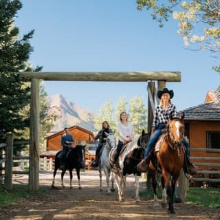 Valley Vista 1.5 Hour Horseback Trail Ride in Kananaskis