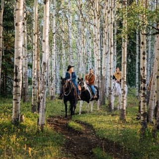 Valley Vista 1.5 Hour Horseback Trail Ride in Kananaskis