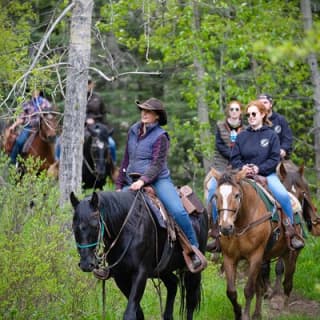 Valley Vista 1.5 Hour Horseback Trail Ride in Kananaskis