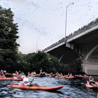 Congress Avenue Bat Bridge Kayak Tour in Austin