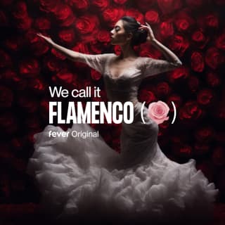 We call it Flamenco: A Sensational Spanish Dance Show