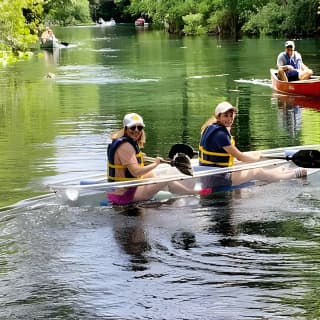 Clear Canoeing and Wildlife Sightseeing at Silver Springs